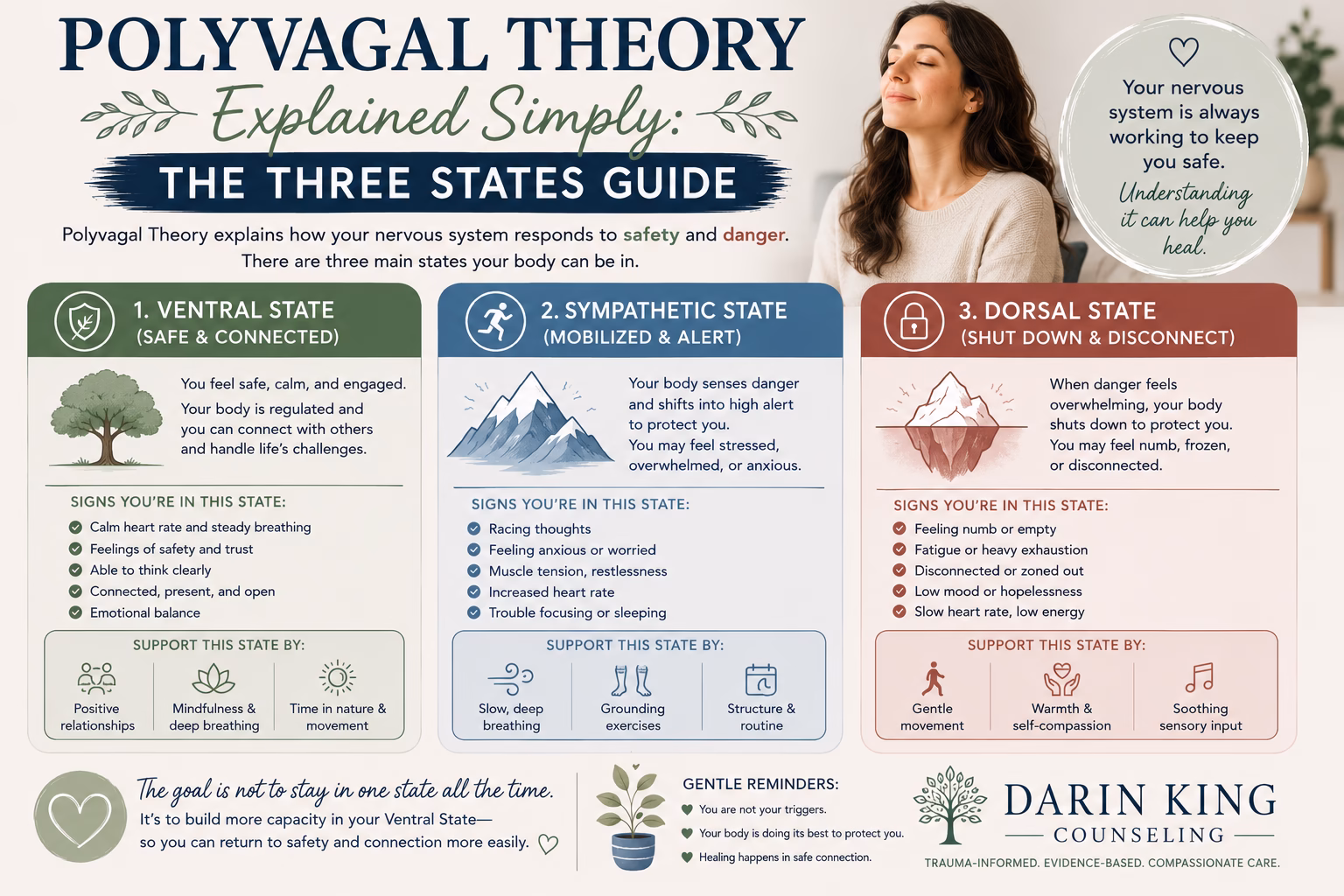 Polyvagal Theory Explained Simply: The Three States Guide